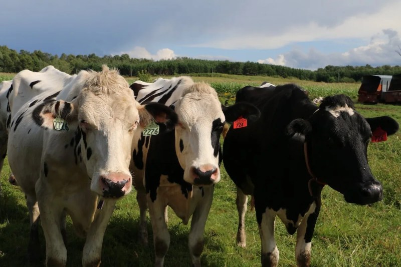 Agriculture Panel: The Pain Isn't Going to Stop For The Rural Economy Soon