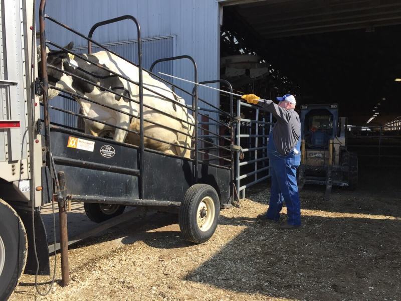 Small Farmers See Little Hope and No Future for Their Livelihood