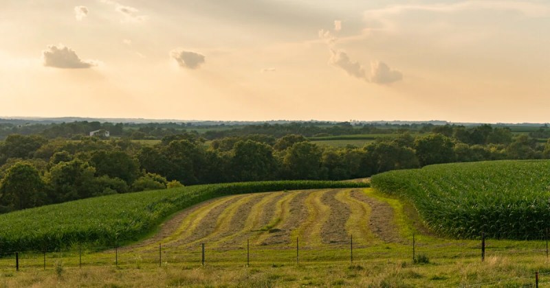 12,000 Wisconsin Farmers Will Receive Up to $3,500 in Federal Aid