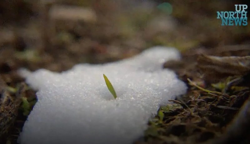 A changing climate has brought extreme weather to Wisconsin which has impacted farming, winter tourism, hunting and fishing, shoreline and infrastructure damage, and much more.