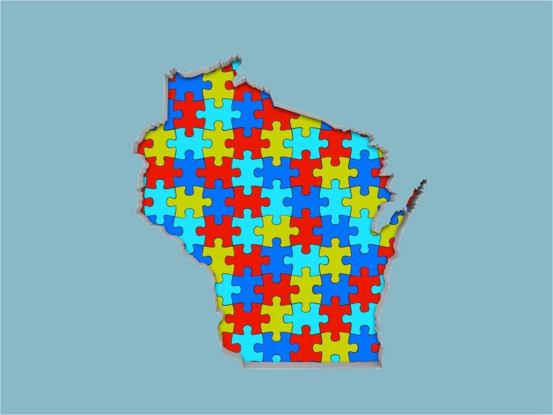 Wisconsin puzzle map