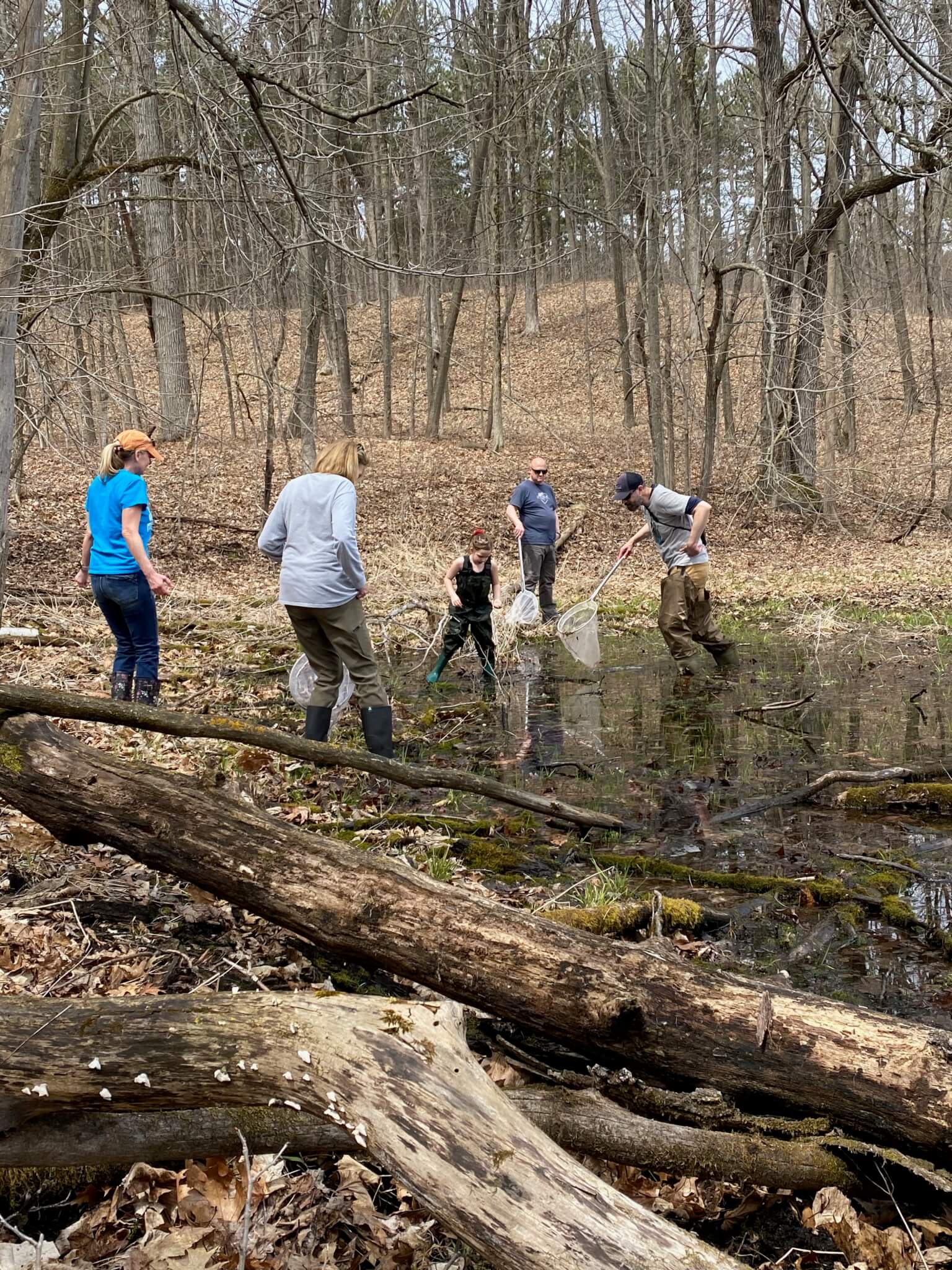 Newt netting