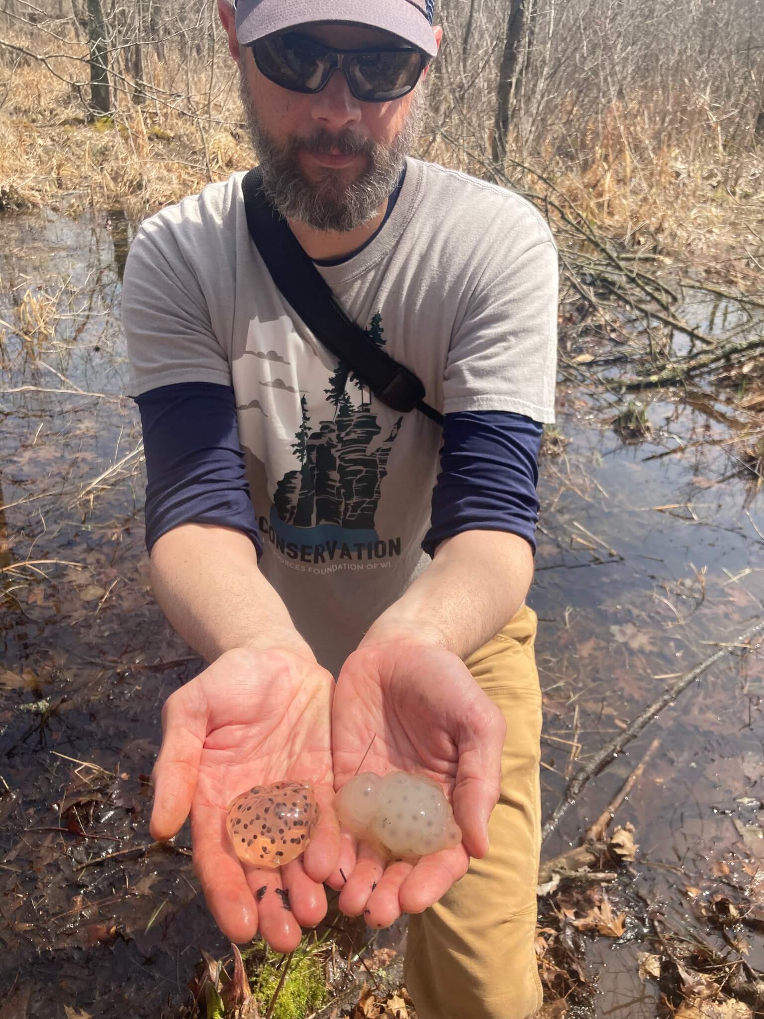 Rich Staffen and salamander eggs