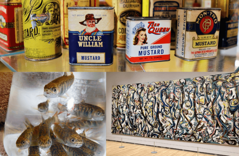 Wisconsin Destinations