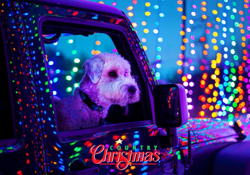 7 Wisconsin Light Displays You Don’t Want to Miss This December