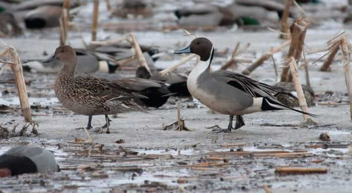 6 Places to Explore in Southeastern Wisconsin
