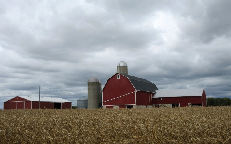 Behind the title of “America’s Dairyland” is a workforce comprised of migrant workers.