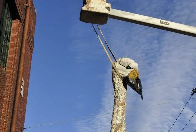 Sculptor Reveals The Meaning Behind Eau Claire’s Big Swan Made Of Trash
