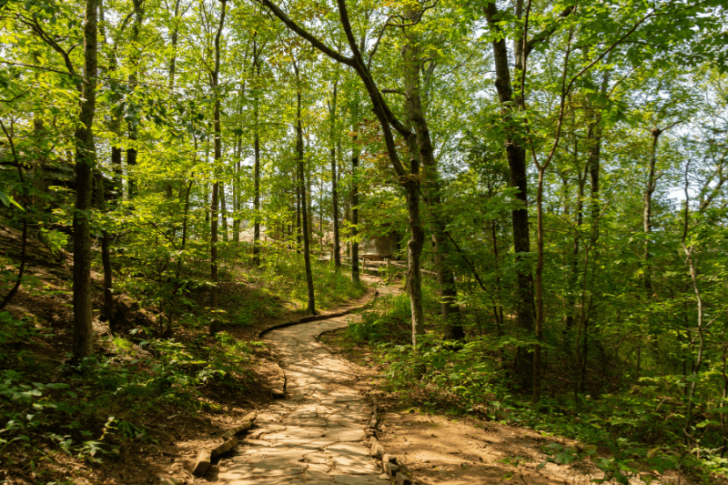 The Top 3 Hiking Trails Near La Crosse, WI