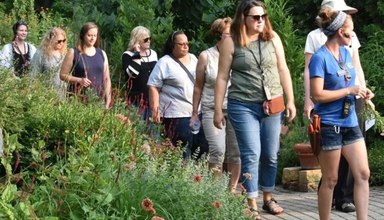 Free Activities For The Whole Family In Milwaukee, Madison, & La Crosse