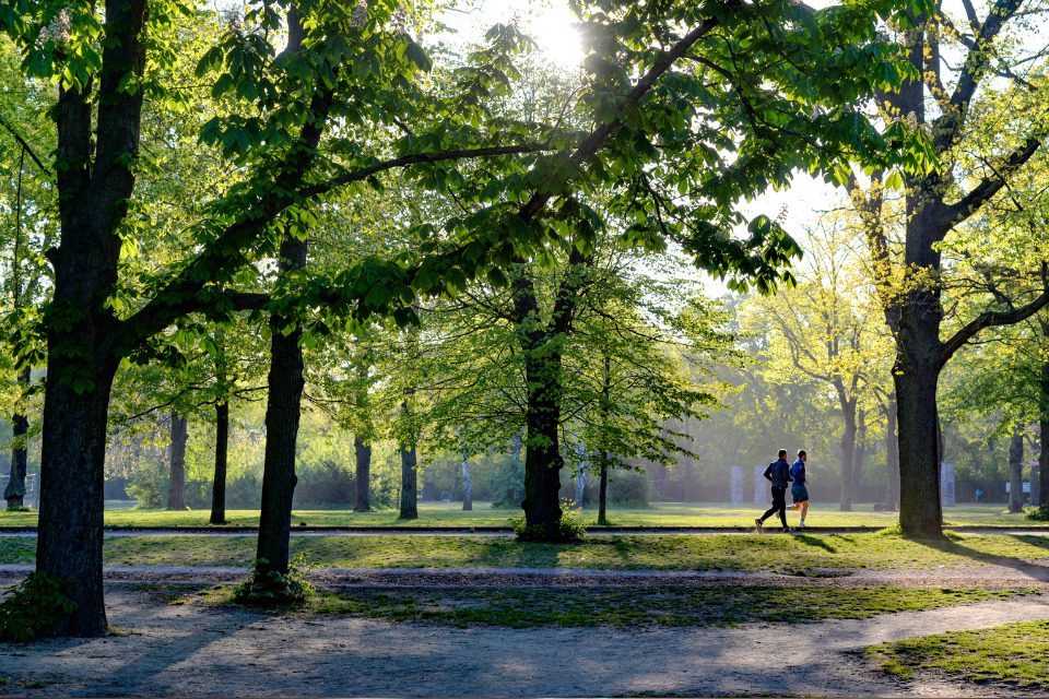 People running in a beautiful park surrounded by lush green trees.