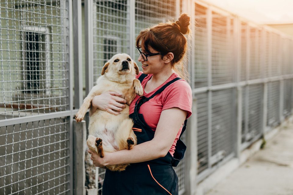 A woman holding a newly adopted dog.