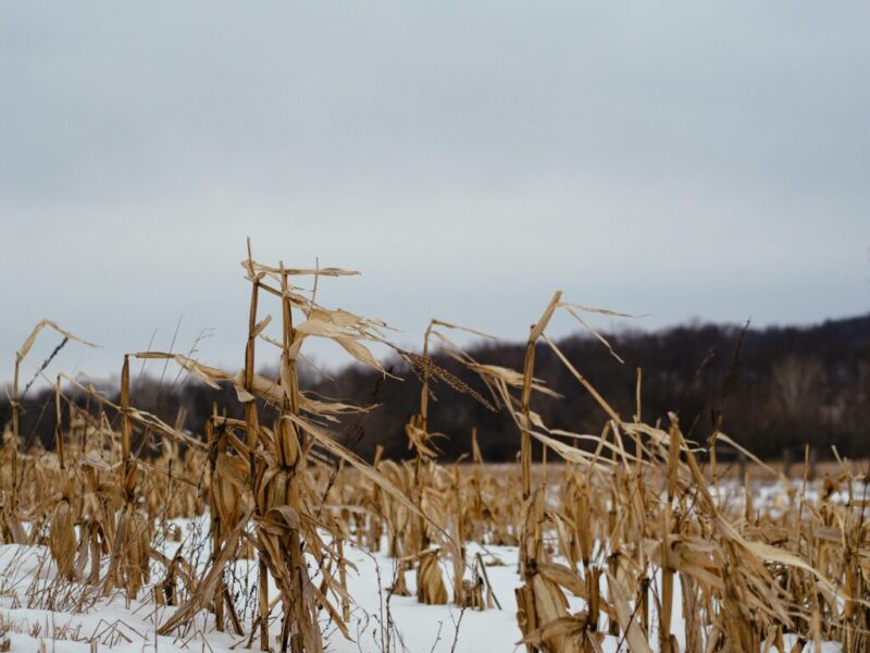 The hottest & coldest days in Wisconsin history