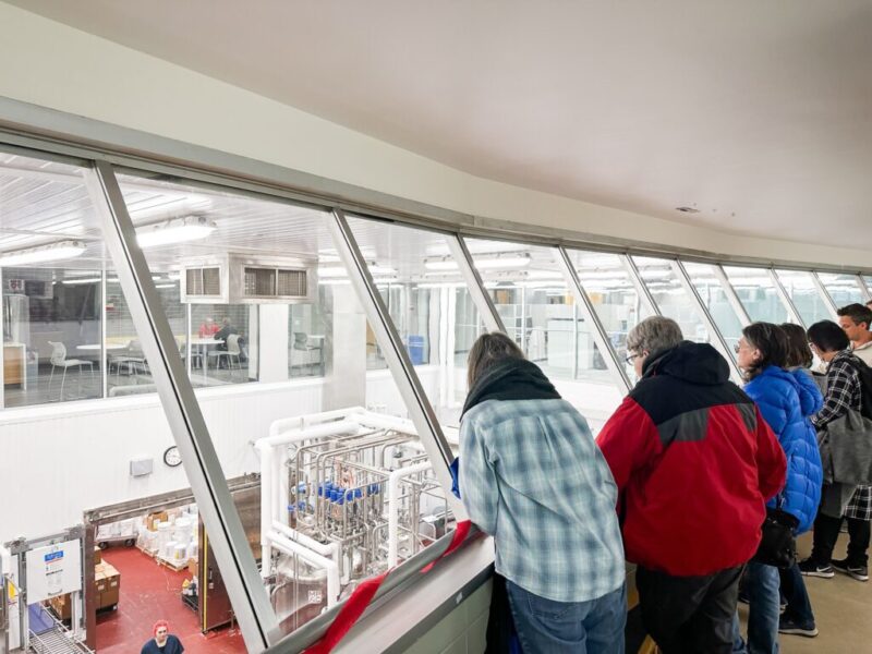 Madison for one: 10 exciting ways to enjoy the city solo