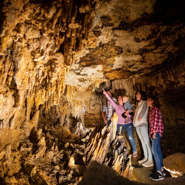 Madison for one: 10 exciting ways to enjoy the city solo