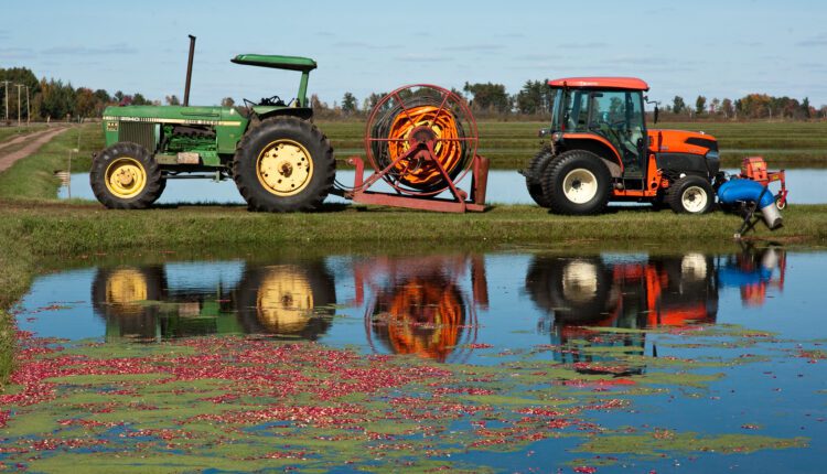 Why fall is the perfect time to take a trip along Wisconsin’s Cranberry Highway