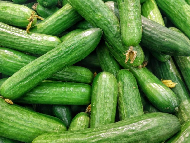 Overhead shot of cucumbers.