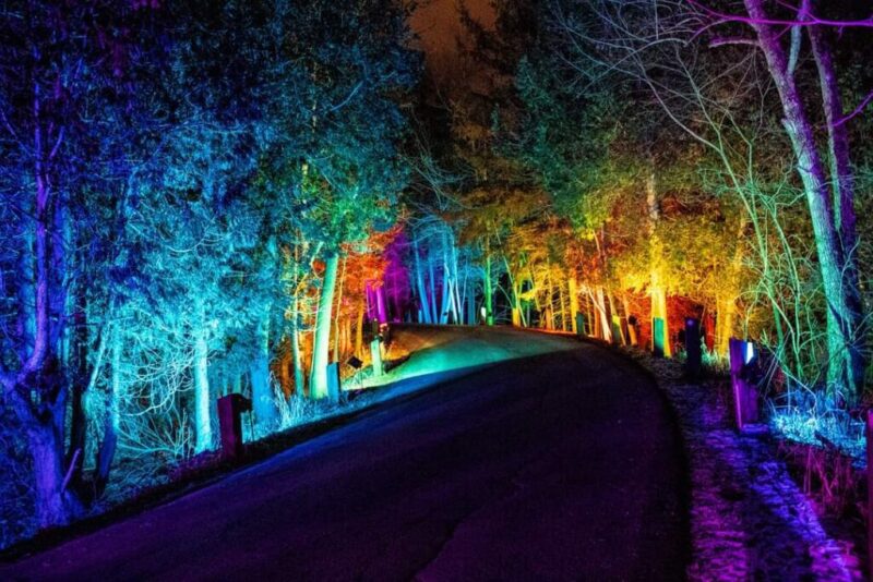 The 12 best holiday light displays across Wisconsin