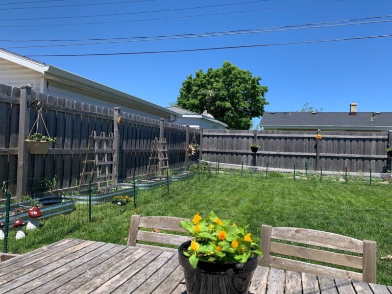 Everything you need to know about container gardening in Wisconsin