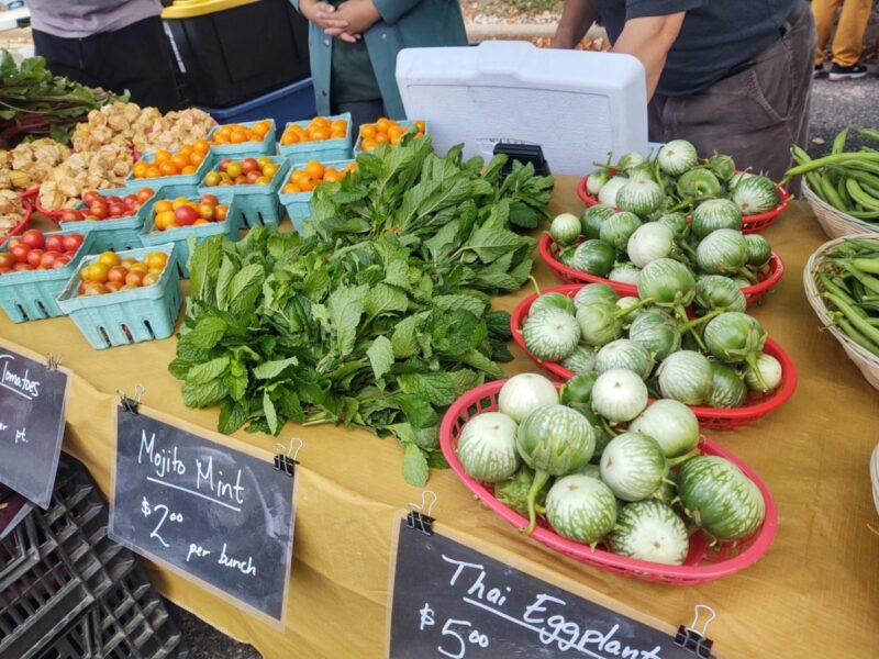 Take advantage of the 12 best senior discounts in Madison