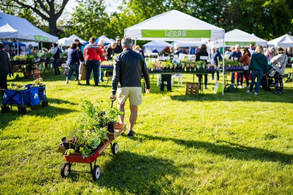 Stop & smell the roses at these 5 Wisconsin flower festivals