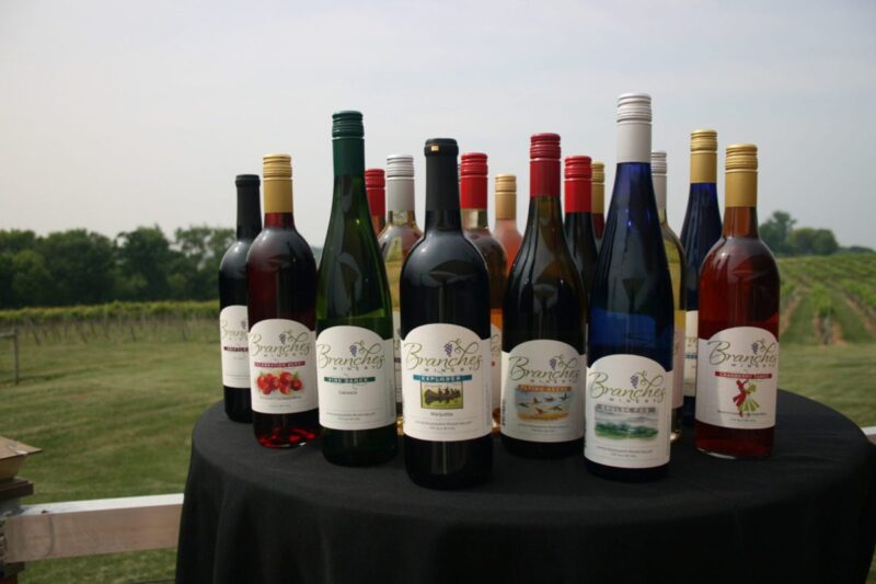 Follow the Great River Road Wine Trail for spectacular vineyards & views