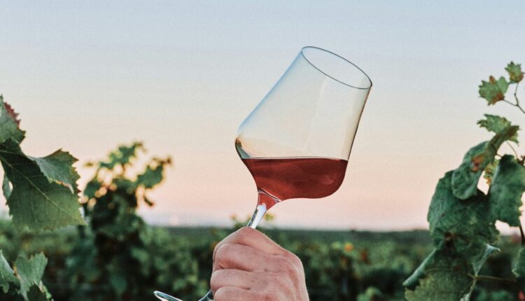 Follow the Great River Road Wine Trail for spectacular vineyards & views