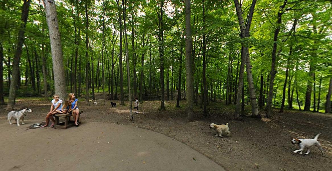 Brown County Dog Park