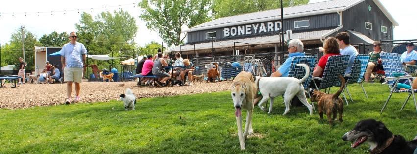 The Boneyard offers tons of fun for dogs and people. 