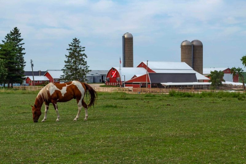 Learn about Wisconsin’s farming culture when you stay overnight on a farm.