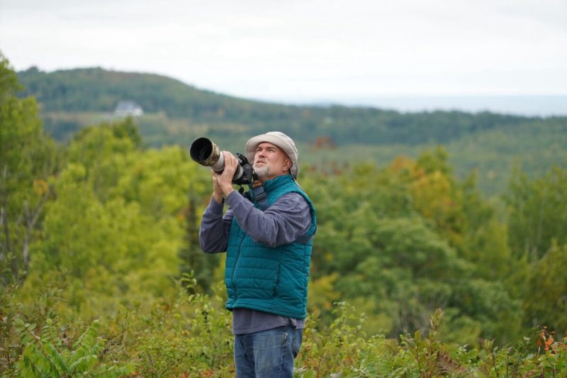 Photographer photographs birds.