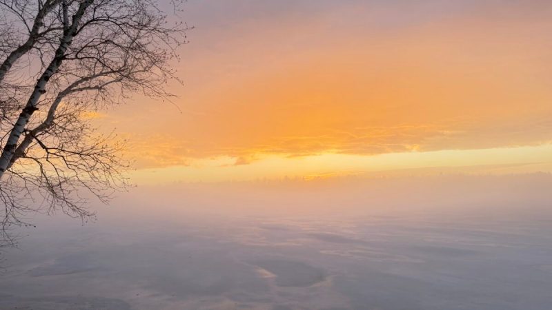 What's Happening in Wisconsin: Your View and the Badger State Buzz (April 13-19)